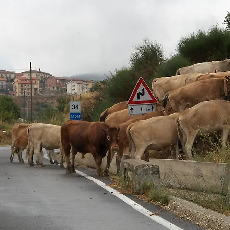 Notti O' Tunn Luxury In Centro